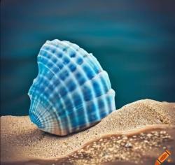 User Profile: ShellCurious