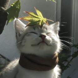 User Profile: awesomeOcean1430