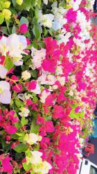 Iamsamtiwari profile picture