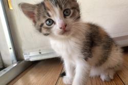 User Profile: delilahcat