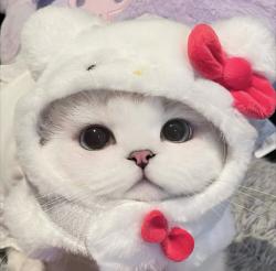 User Profile: Kieran000