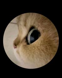 Smilesweetie profile picture