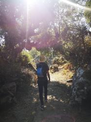 User Profile: OpenHeartAnon
