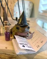 User Profile: Scarfywik