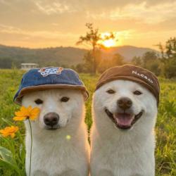 User Profile: smilelifeistoshort
