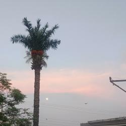 User Profile: RNsoulListner