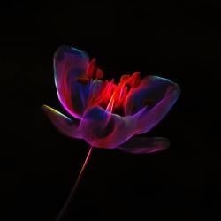 User Profile: Muna13
