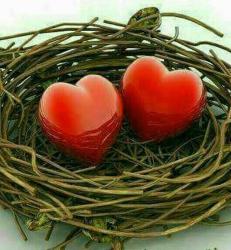 User Profile: Heart307Nest