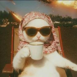 User Profile: AikCupChaye