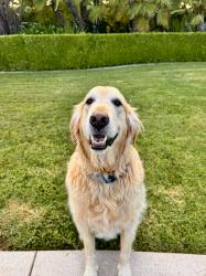 User Profile: LaurenLo11