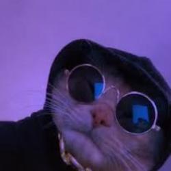 User Profile: peacefulWind6966