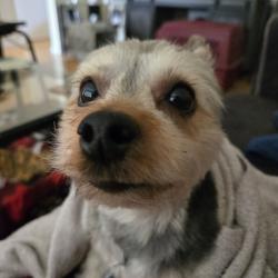 User Profile: zealousDreamer949