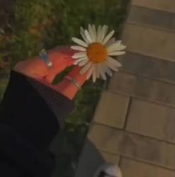 Calie22 profile picture