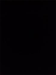 User Profile: rahkzz