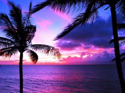 User Profile: interestingScenery7877