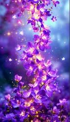 LavenderBloom811 profile picture