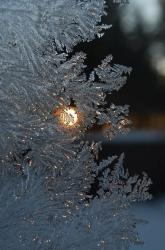 User Profile: wintertale3112
