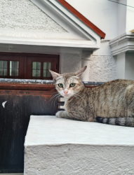 EvanAaro profile picture