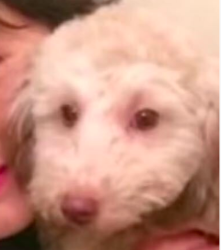 Nickalous profile picture