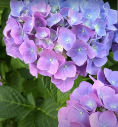 User Profile: BeautifulSky22