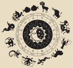 User Profile: CaringSloth