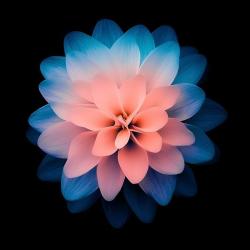 User Profile: YesterdayUnspoken