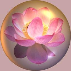 User Profile: cupcake009
