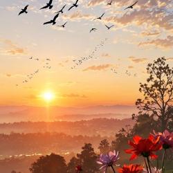 User Profile: heartfulVoice1615