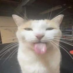 User Profile: kartoffel79