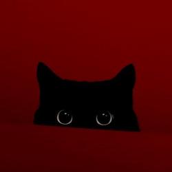 User Profile: Aishery