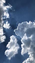 naturalCloud563 profile picture