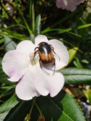 User Profile: Ecodeconfianza