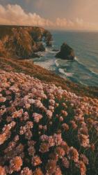User Profile: PurpleGloria