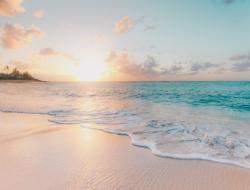 Profile: PoliteOcean