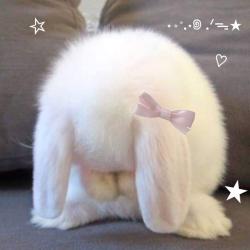 User Profile: liliesinthebasket