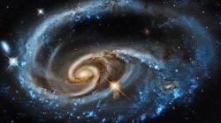 User Profile: Cosmostidals