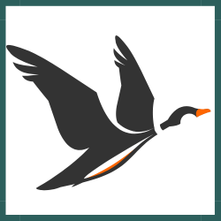User Profile: GooseOnTheWind
