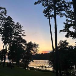 User Profile: SoothingSavannah