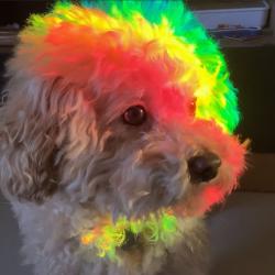 User Profile: MichaelHuang