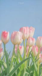 User Profile: Meenakshi29