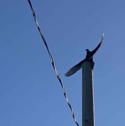 User Profile: supportiveKite420