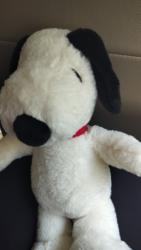 Pj2331 profile picture