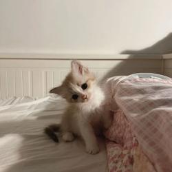 User Profile: LoveReira