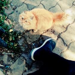 User Profile: GATTP