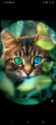 User Profile: pawsitivecare