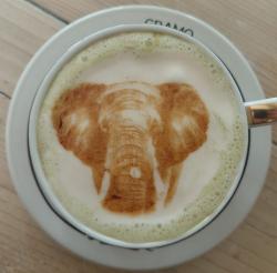 User Profile: BastianLatte
