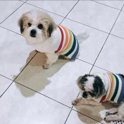 User Profile: CocoaMeimei1994
