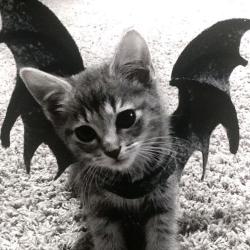 User Profile: aguywregrets
