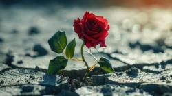 User Profile: AdaFeelGood77