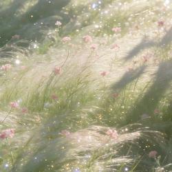 QuietInTheMeadow profile picture